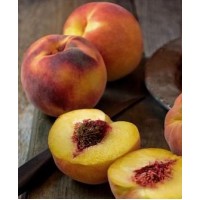 Саженец персика "PF-5B" Саженец персика "PF-5B"